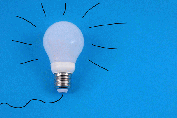 17 نکته سیر تا پیاز نگهداری سگ در خانه ویلایی ایرانی