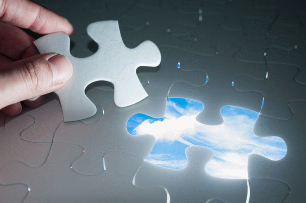 19 نکته در مورد بیماری های پوستی گربه ها و راهکارهای درمانی